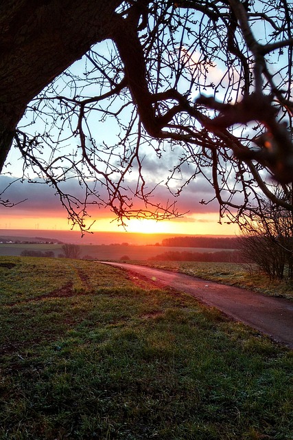 Sonnenuntergang Südpfalz